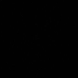 Meet your Posher, Max